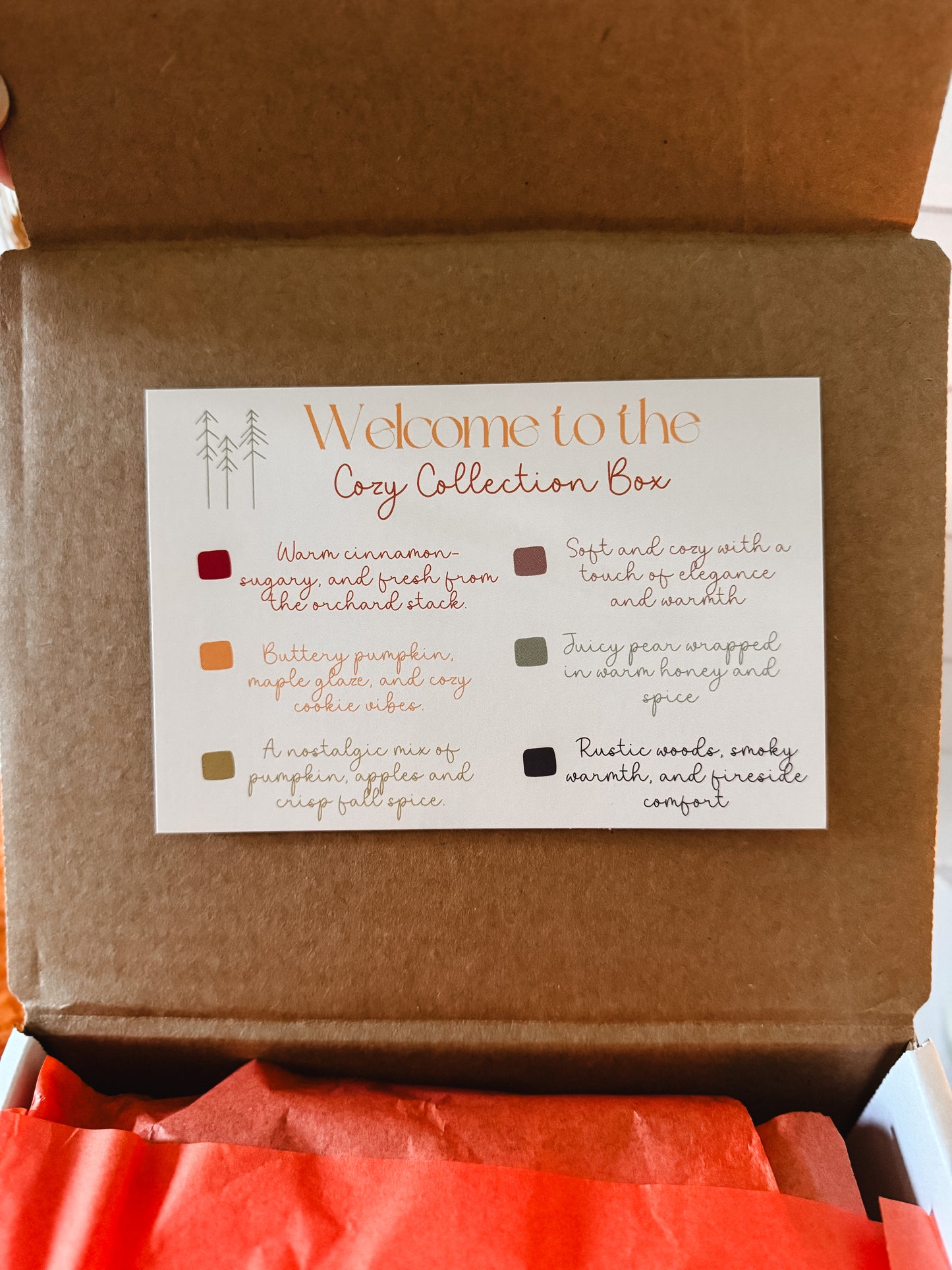 Open cardboard box with a 'Cozy Collection Box' label on a brown background